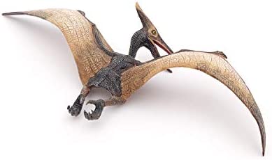 PAPO PTERANODON