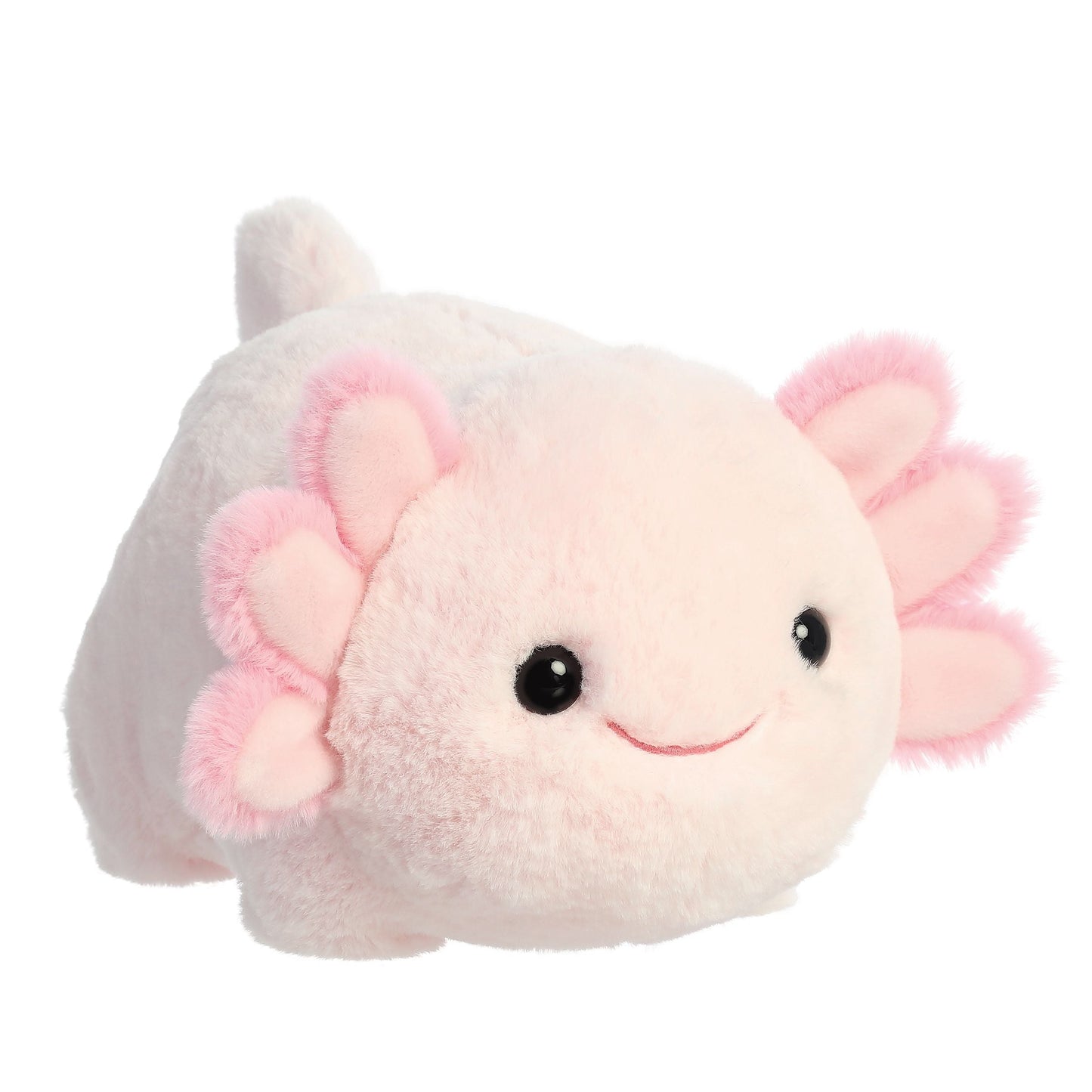 SPUDSTERS AXOLOTL