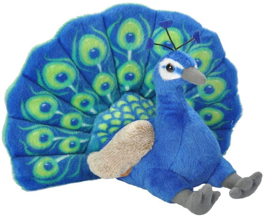 CK 12" PEACOCK