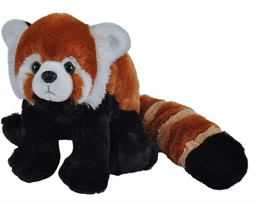 CK 12" RED PANDA