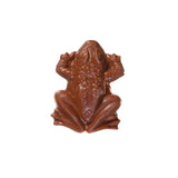 HARRY POTTER CHOCOLATE FROGS