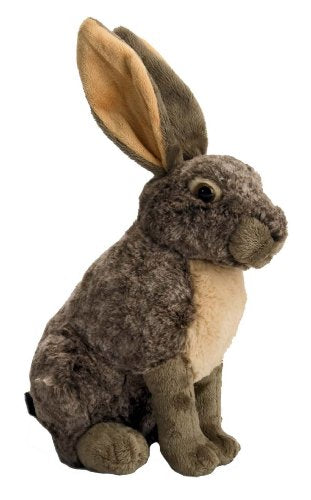 CK 12" HARE