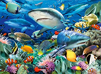 RAVENSBURGER 100 PC SHARK REEF