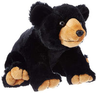 CK 12" BLACK BEAR