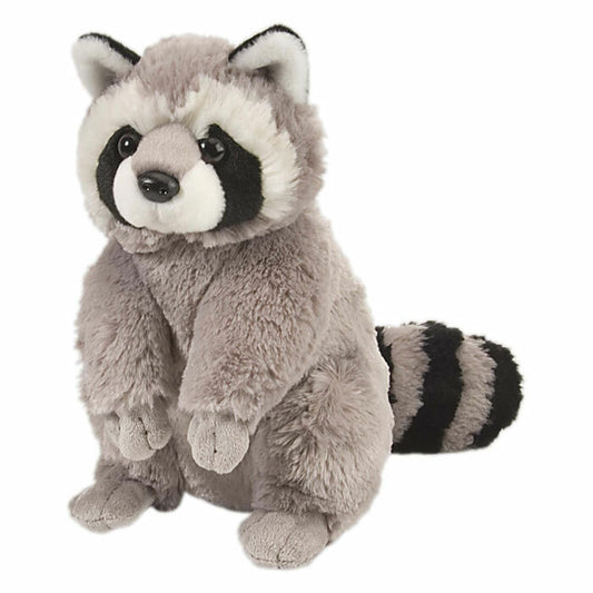 CK 12" RACCOON