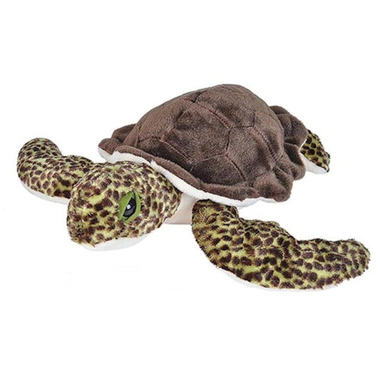 CK 12" SEA TURTLE