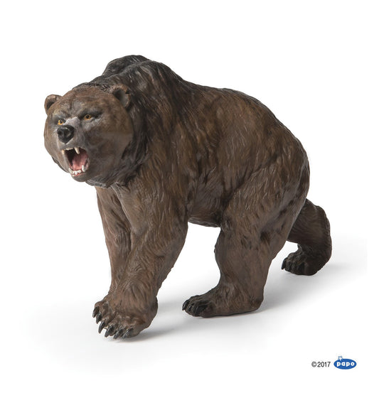 PAPO CAVE BEAR