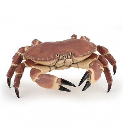 PAPO CRAB