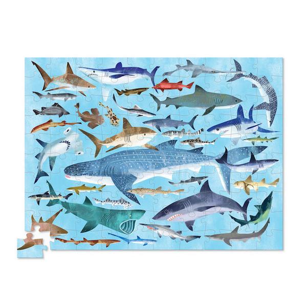 CROCODILE CREEK 36 SHARKS PUZZLE - 100 PIECES