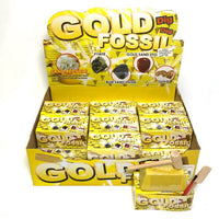 GOLD FOSSIL KIT