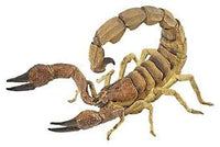 PAPO SCORPION