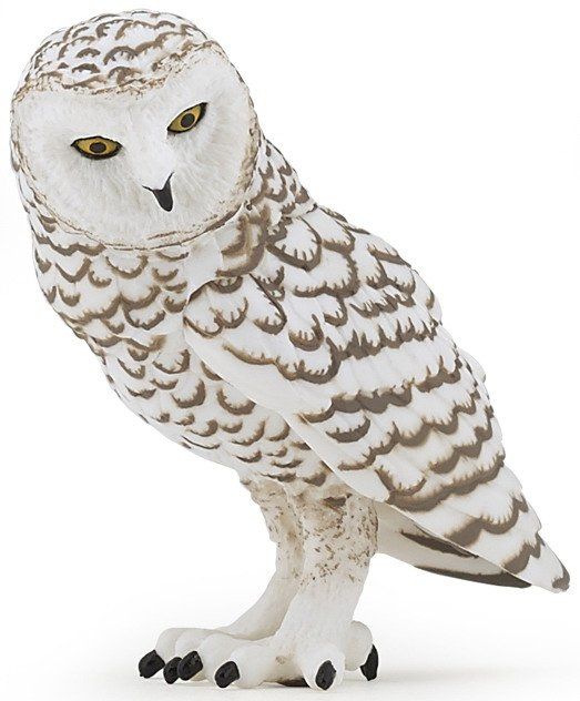 PAPO SNOWY OWL