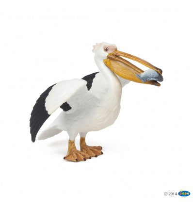 PAPO PELICAN