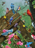 BIRDS OF THE FOREST - 1000 PC