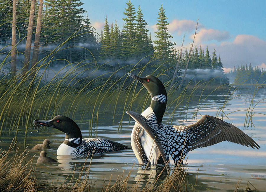 COMMON LOON - 1000 PC